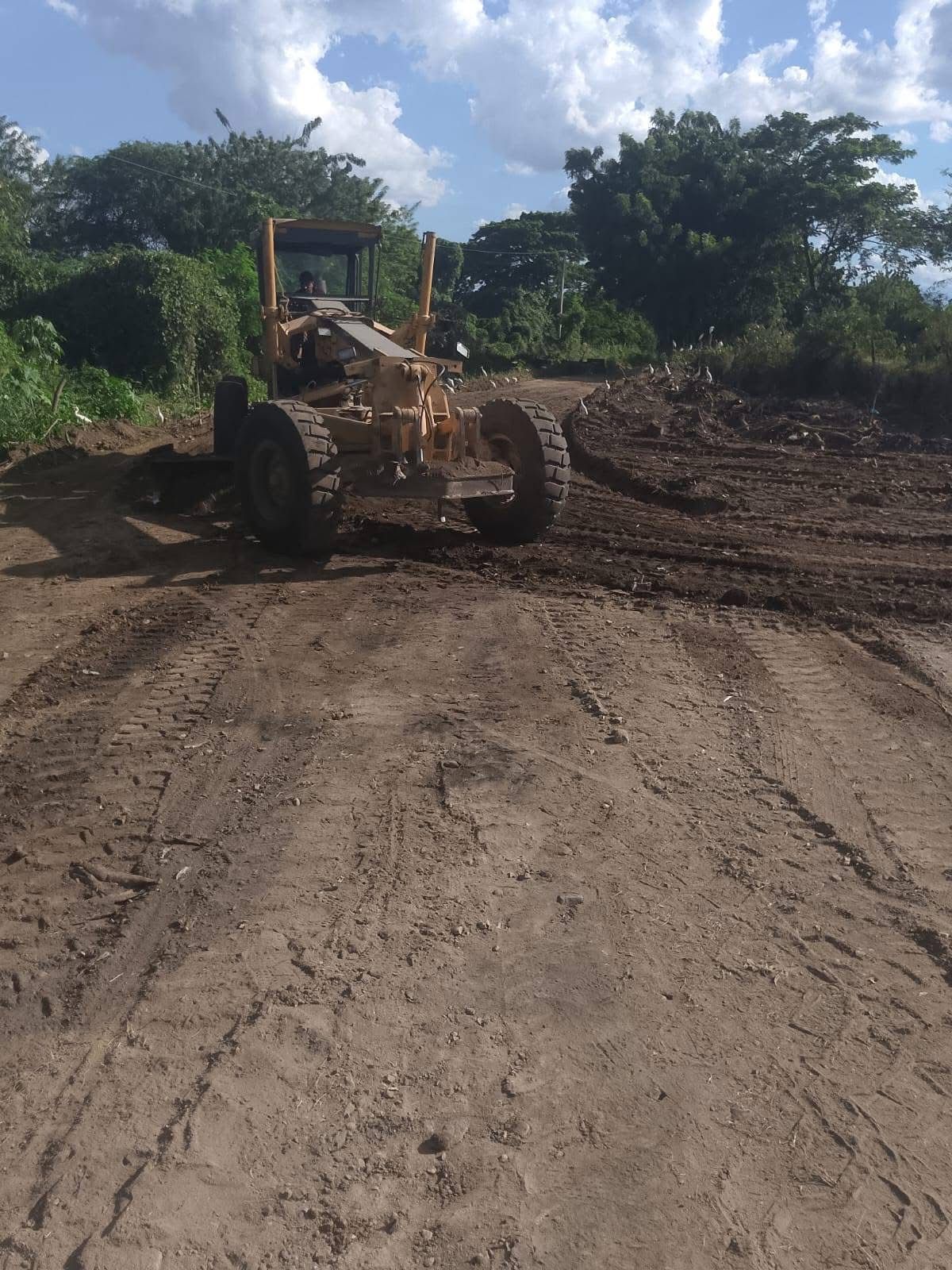 Seguimos Trabajando!