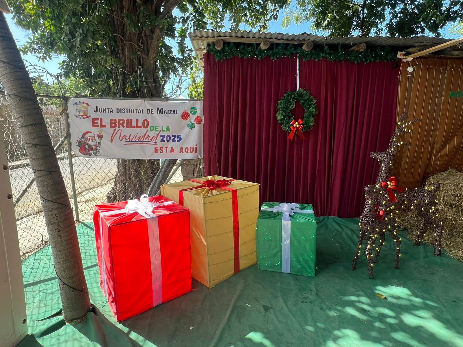 Ven a descubrir magia navideña en nuestro espacio con armonía y sobre todo con el Ambiente navideño